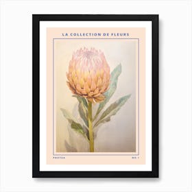 Protea French Flower Botanical Poster Art Print