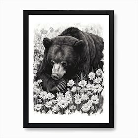 Malayan Sun Bear Resting In A Field Of Daisies Ink Illustration 4 Art Print