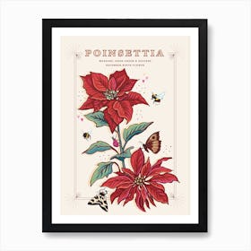 December Birth Flower Poinsettia On Cream Art Print