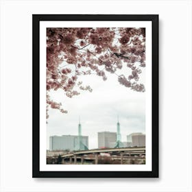 Cherry Blossoms Portland Art Print