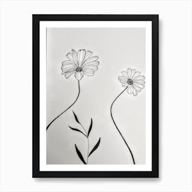 Marguerites  Art Print