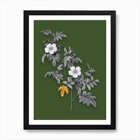 Vintage Musk Rose Black and White Gold Leaf Floral Art on Olive Green n.1020 Art Print