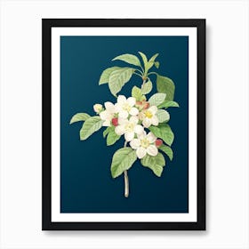 Vintage Apple Blossom Botanical Art on Teal Blue n.0758 Art Print