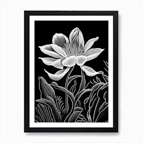 Bloodroot Wildflower Linocut Art Print