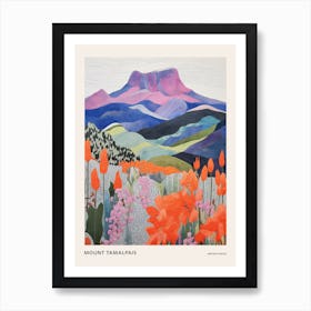 Mount Tamalpais United States 2 Colourful Mountain Illustration Poster Art Print