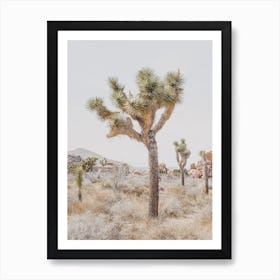 Desert Joshua Tree Art Print