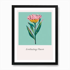 Everlasting Flower Square Flower Illustration Poster Art Print