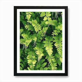 Pattern Poster Southern Maidenhair Fern 3 Art Print