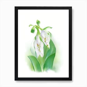 Lily Of The Valley Wildflower Watercolour Art Print
