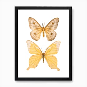 Two Light Yellow Butterflies Art Print