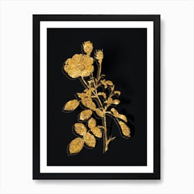 Vintage Sparkling Rose Botanical in Gold on Black n.0050 Art Print