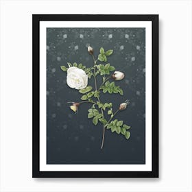 Vintage Silver Flower Hispid Rose Botanical on Slate Gray Pattern n.1133 Art Print