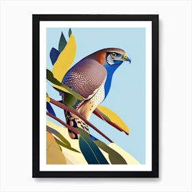 Eurasian Sparrowhawk Pop Matisse 2 Bird Art Print