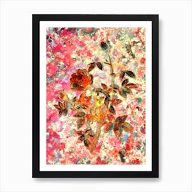 Impressionist Moss Rose Botanical Painting in Blush Pink and Gold n.0016 Art Print