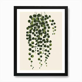 String Of Pearls Plant Minimalist Illustration 8 Art Print