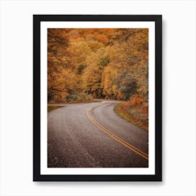 New England Forest Road Art Print