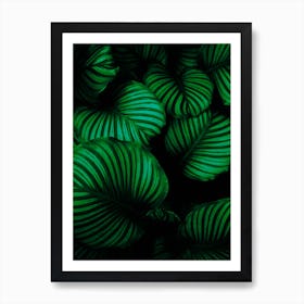 Leaf Art Print