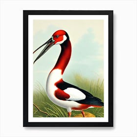 Bird Canvasback James Audubon Vintage Style Bird Art Print