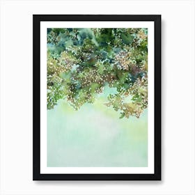 Acropora Formosa Storybook Watercolour Art Print