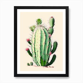 Trichocereus Cactus Retro Drawing Art Print