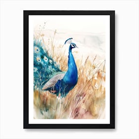Watercolour Peacock Walking Through The Grass Art Print