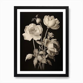 Three Black And White Flowers On A Bookplate Art Print