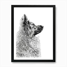 Belgian Tervuren Dog Line Sketch 1 Art Print