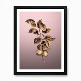 Gold Botanical Briancon Apricot on Rose Quartz n.4041 Art Print
