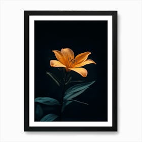 Orange Lily 3 Art Print