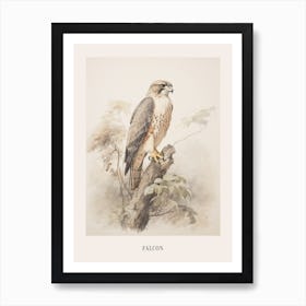 Vintage Bird Drawing Falcon 1 Poster Art Print