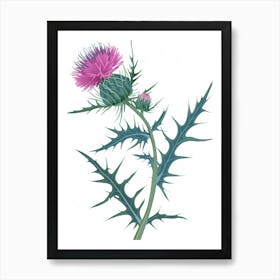 Thistle Flower Art Print