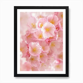 Pink Flowers Cherry Blossoms Art Print