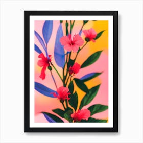 Hibiscus Colourful Illustration Plant Affiche