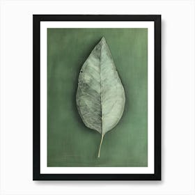 Leaf On A Green Background 1 Art Print