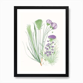 Chives Spices And Herbs Pencil Illustration 1 Art Print