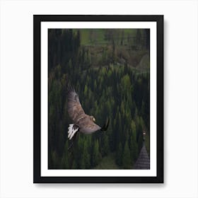 Eagle In Flight Art Print