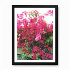 Beautiful Flowers 2 By Binod Dawadi Art Print