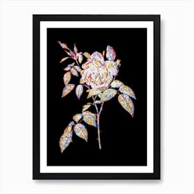 Stained Glass Fragrant Rosebush Mosaic Botanical Illustration on Black n.0001 Art Print