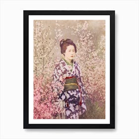 Beautiful Photomechanical Prints Of A Geisha And Cherry Blossom, Ogawa Kazumasa Art Print