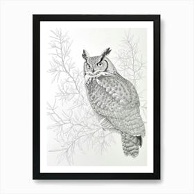 Verreauxs Eagle Owl Drawing 3 Art Print