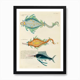 Colourful And Surreal Illustrations Of Fishes Found In Moluccas (Indonesia) And The East Indies, Louis Renard(39) Art Print