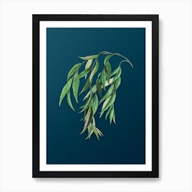 Vintage Babylon Willow Botanical Art on Teal Blue Art Print