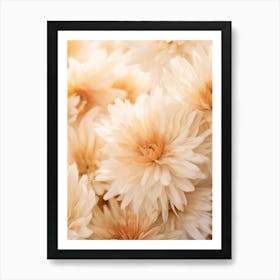 Boho Dried Flowers Calendula 4 Poster