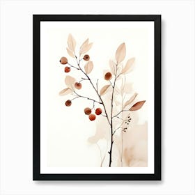 Apricots 3 Art Print