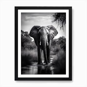 Elephant In The Nature Art Print