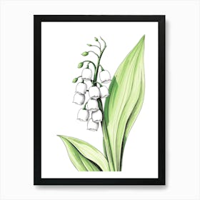 Lily Of The Valley 19 Art Print