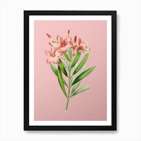 Vintage Oleander Botanical on Soft Pink n.0092 Art Print