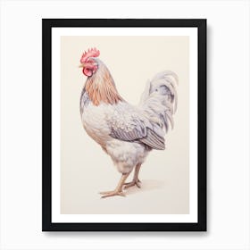 Vintage Bird Drawing Chicken 2 Art Print