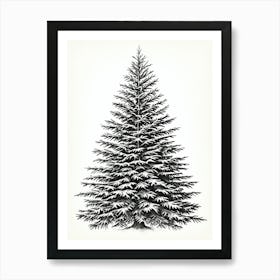 Fir Tree Pencil Sketch Ultra Detailed 10 Art Print