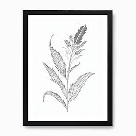 Plantain Herb William Morris Inspired Line Drawing Art Print